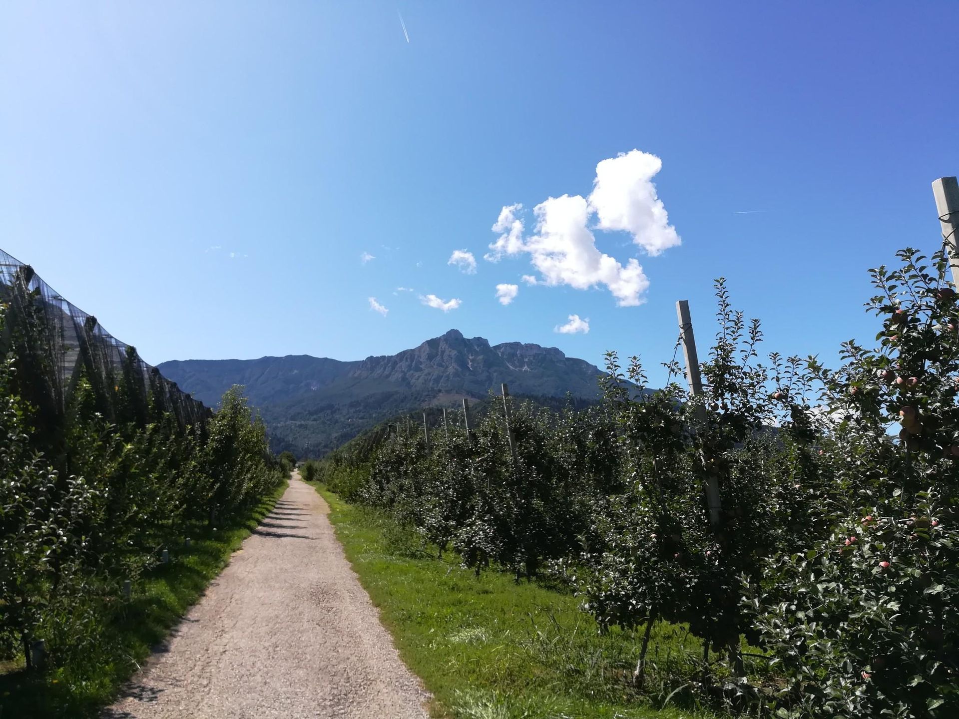 Between rivers and orchards – Valsugana Cycle Path | Cycling Collection ...
