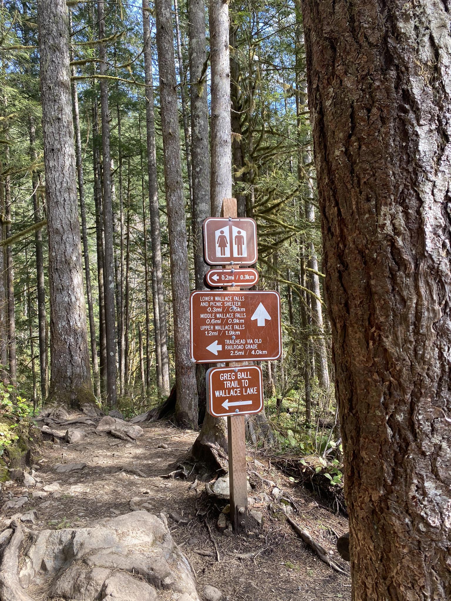 Brown trail signs stand on a dirt path in a dense forest.