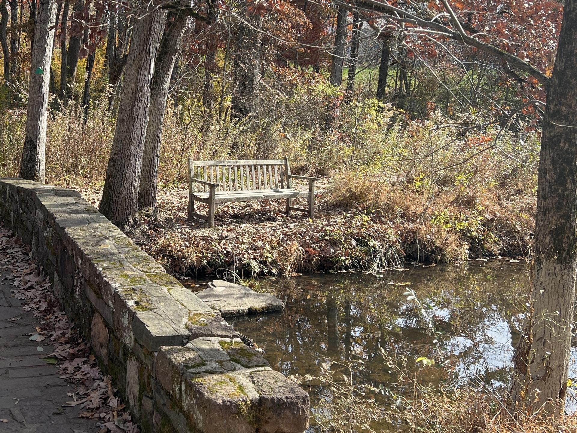 A wooden bench sits beside a calm pond, surrounded by autumn trees.