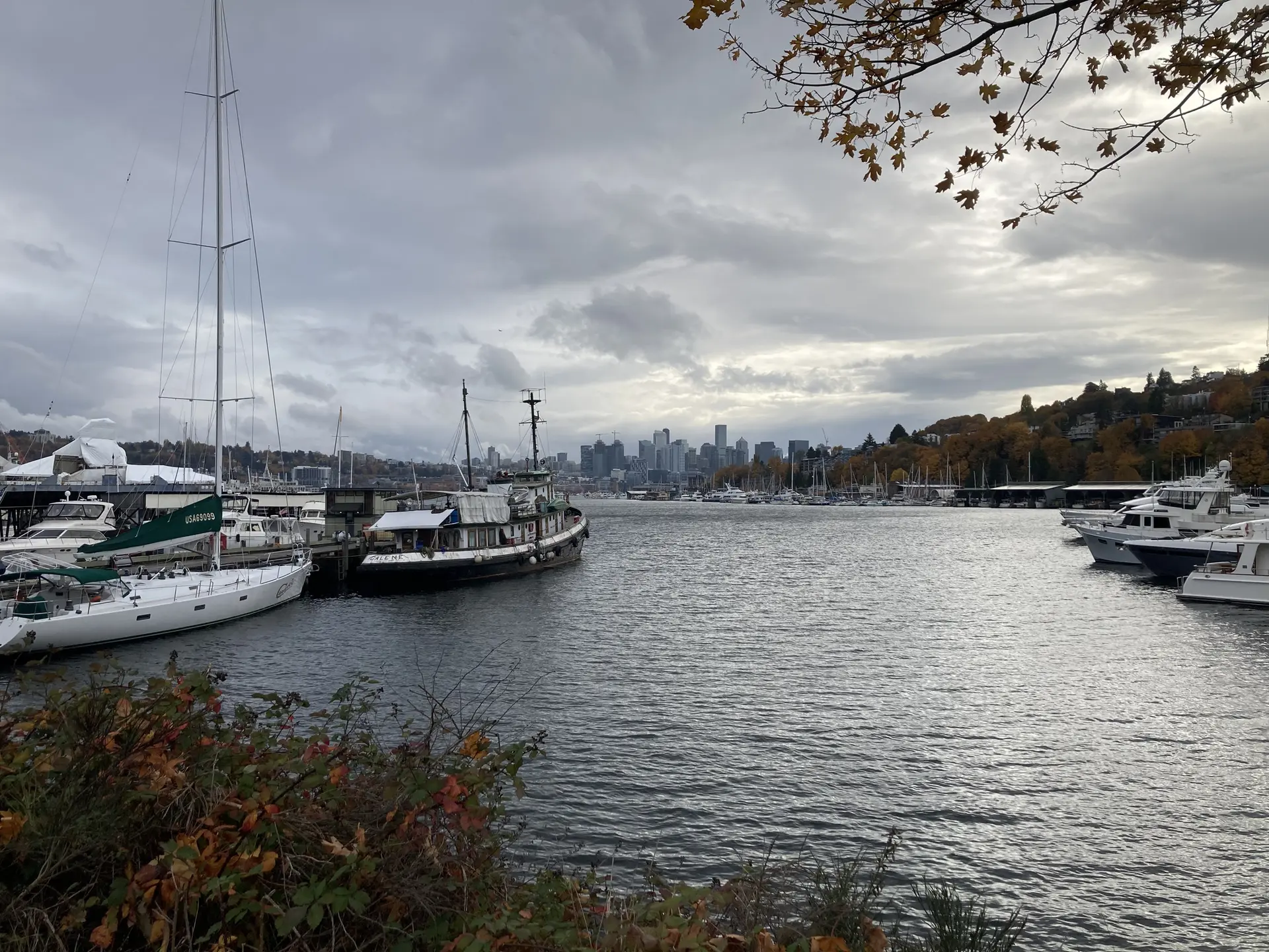 Boats docked in a harbor under an overcast sky, distant city visible.