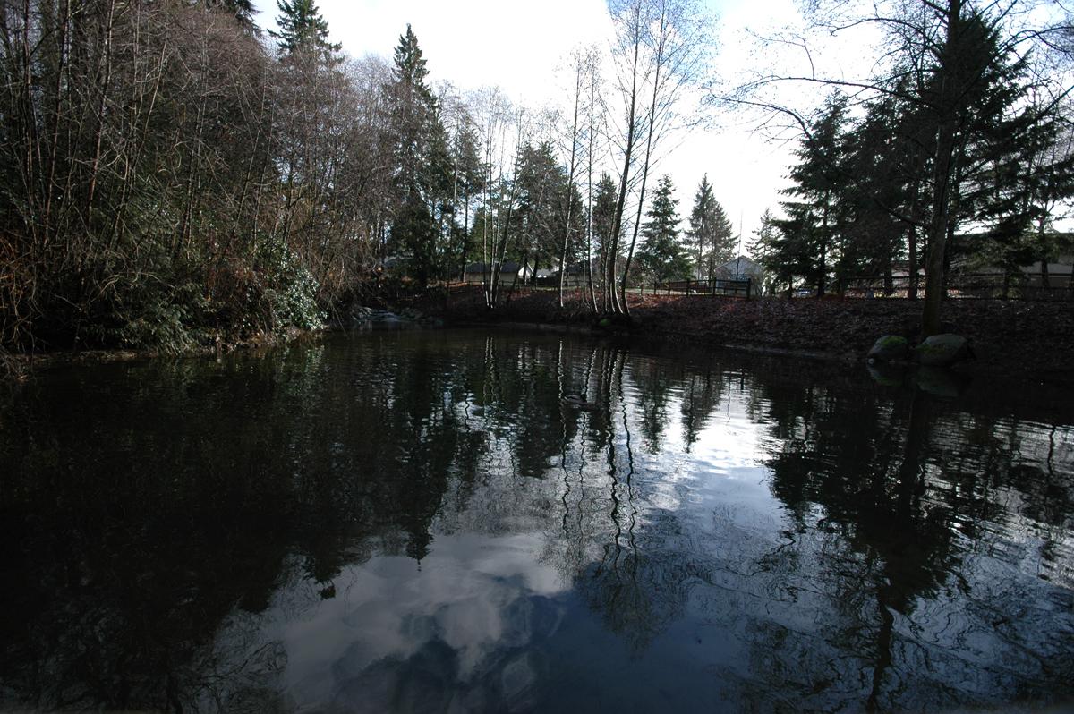 Dark water reflects a cloudy sky, surrounded by bare and evergreen trees.