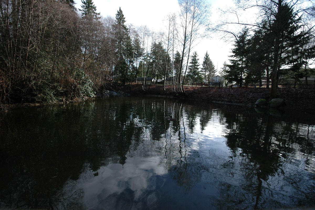 Dark water reflects a cloudy sky, surrounded by bare and evergreen trees. - Salmon Creek Greenway Trail