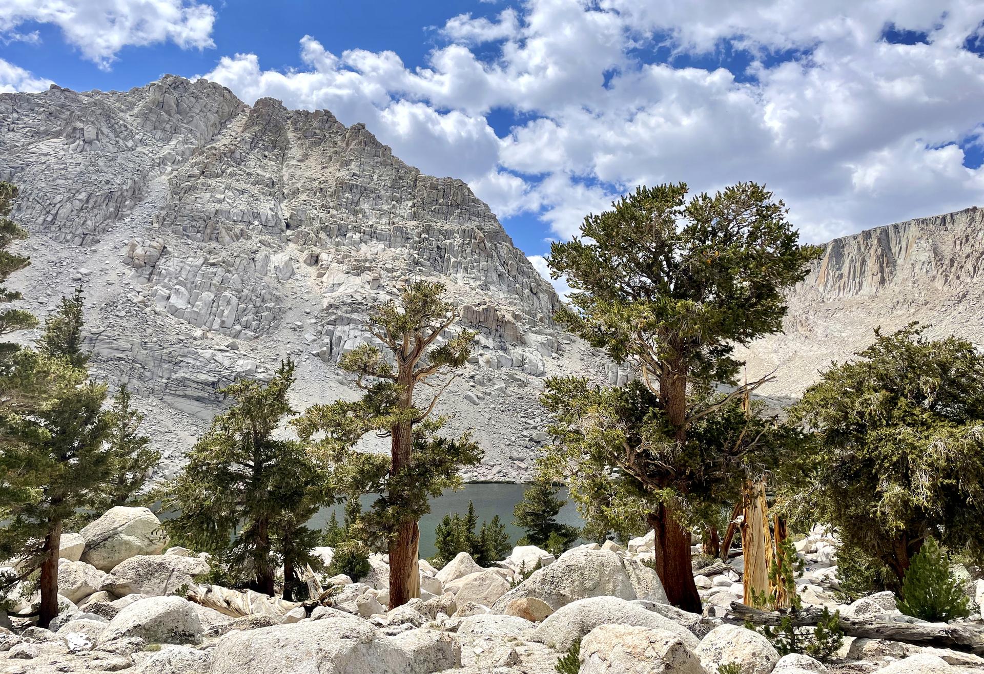 Pine trees and large rocks in front of a towering rocky mountain and lake.