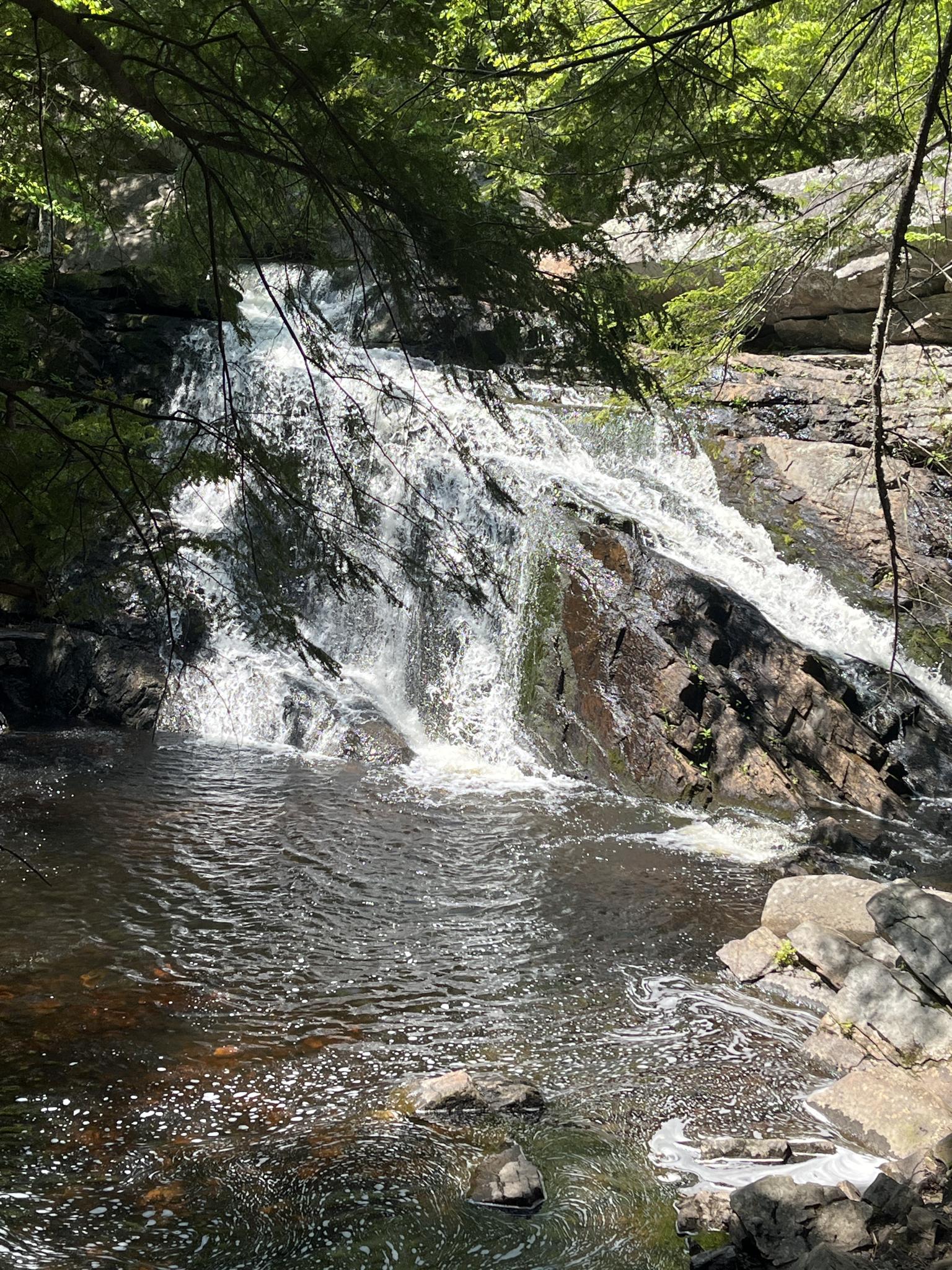 A sunlit waterfall cascades over dark rocks into a pool, framed by green foliage.
