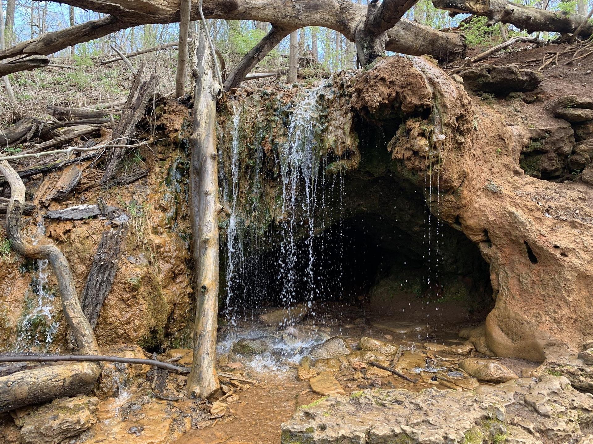 Small waterfall cascades over a rocky cave entrance in a lush forest.