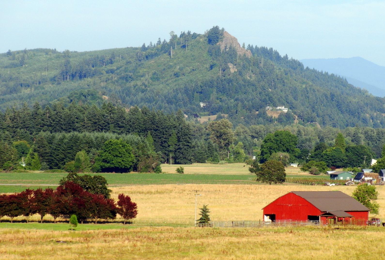 Red barn in a golden field with a large forested hill under a bright sky.