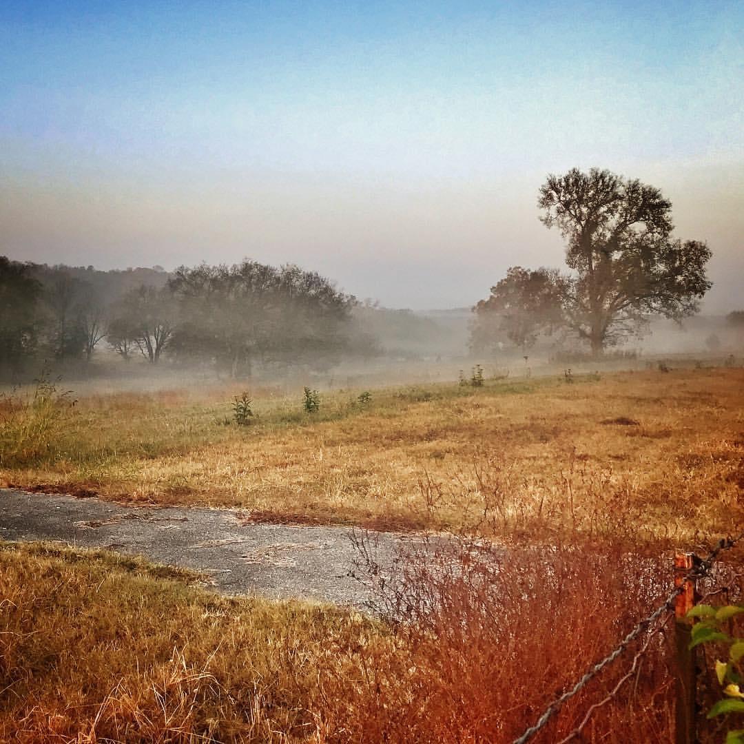 Misty field with dry grass, distant trees, and a path under a hazy sky.