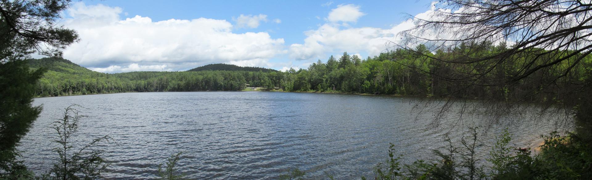 Panoramic view of a calm lake surrounded by dense green forest.
