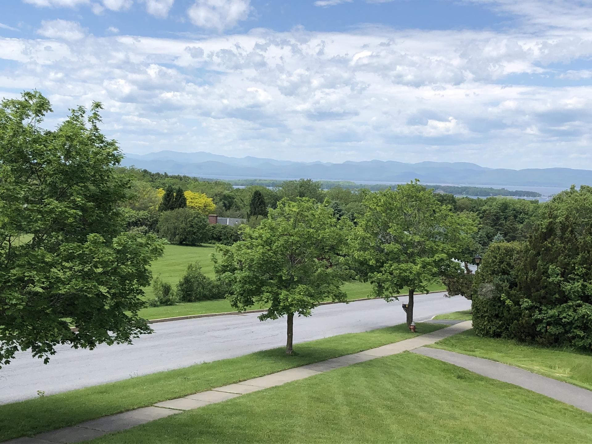 Road and trees with distant lake and mountains under cloudy sky.