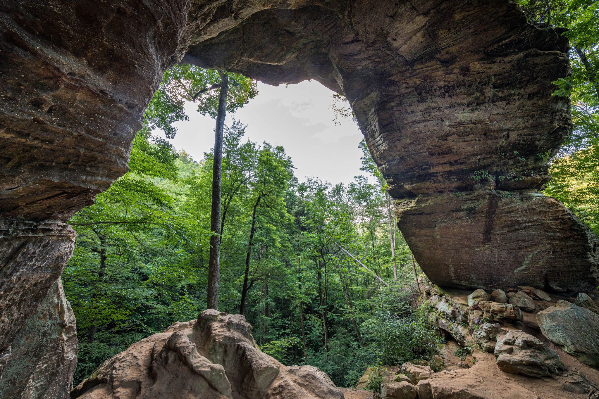 Natural rock arch framing a lush green forest under a bright sky. - Gray's Arch Loop