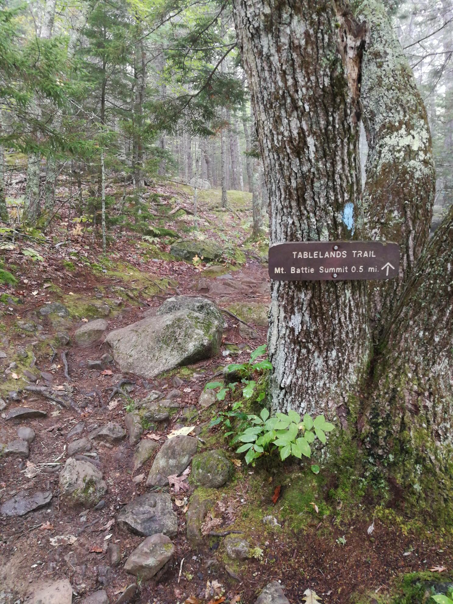 A wooden trail sign on a tree beside a rocky, mossy forest path.