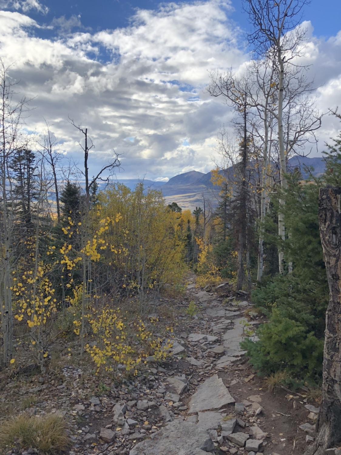 Rocky path winding through an autumn forest with yellow leaves and cloudy sky.