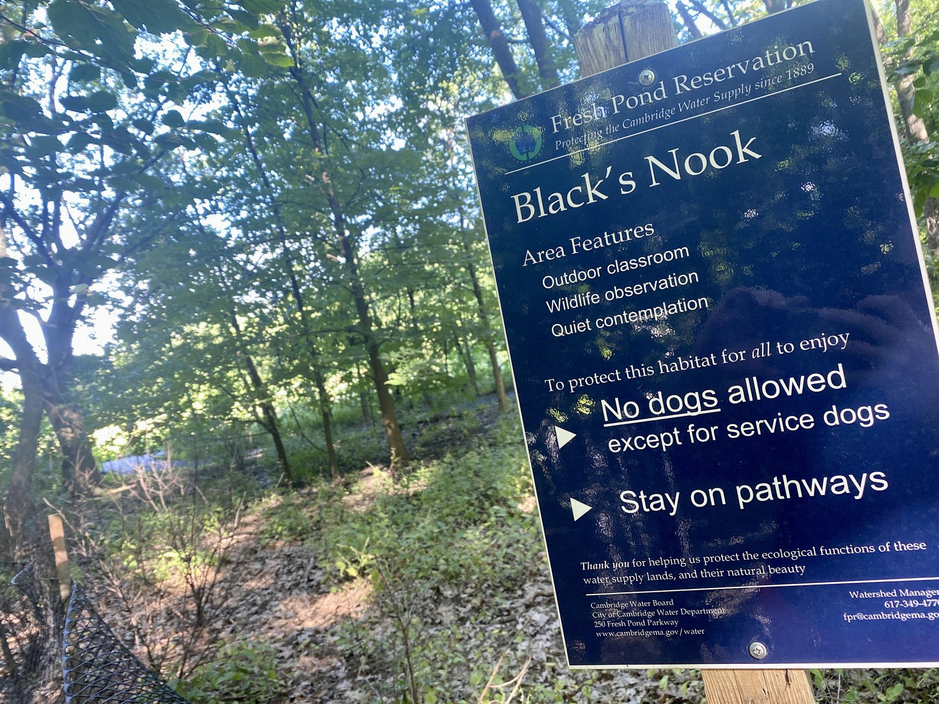 A blue sign with rules in a wooded area with dappled sunlight.