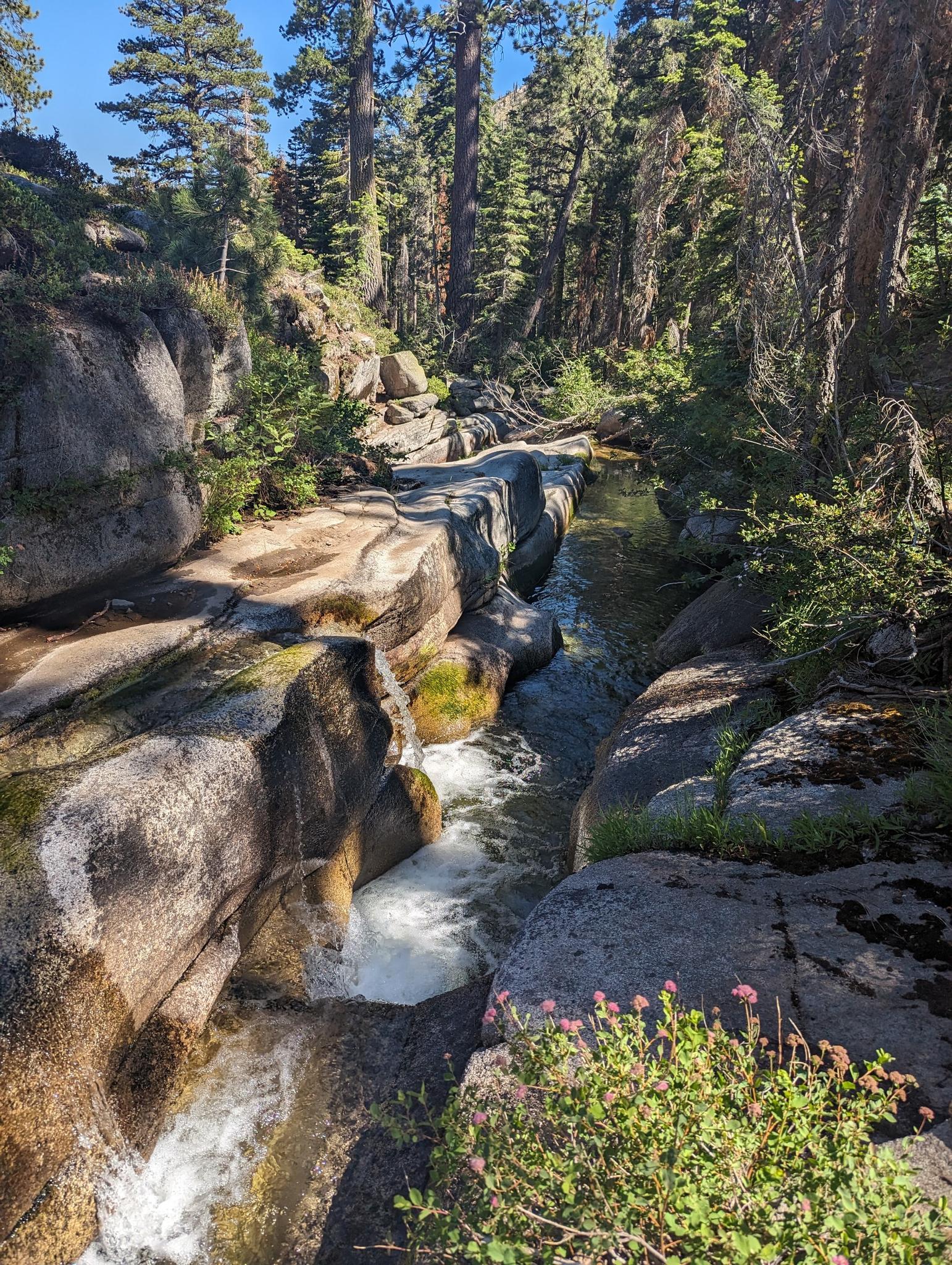 Rushing stream through a rocky gorge, surrounded by green trees.
