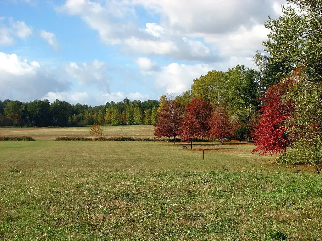 Grassy field with colorful autumn trees under a bright, cloudy sky. - Willamette Greenway Trail