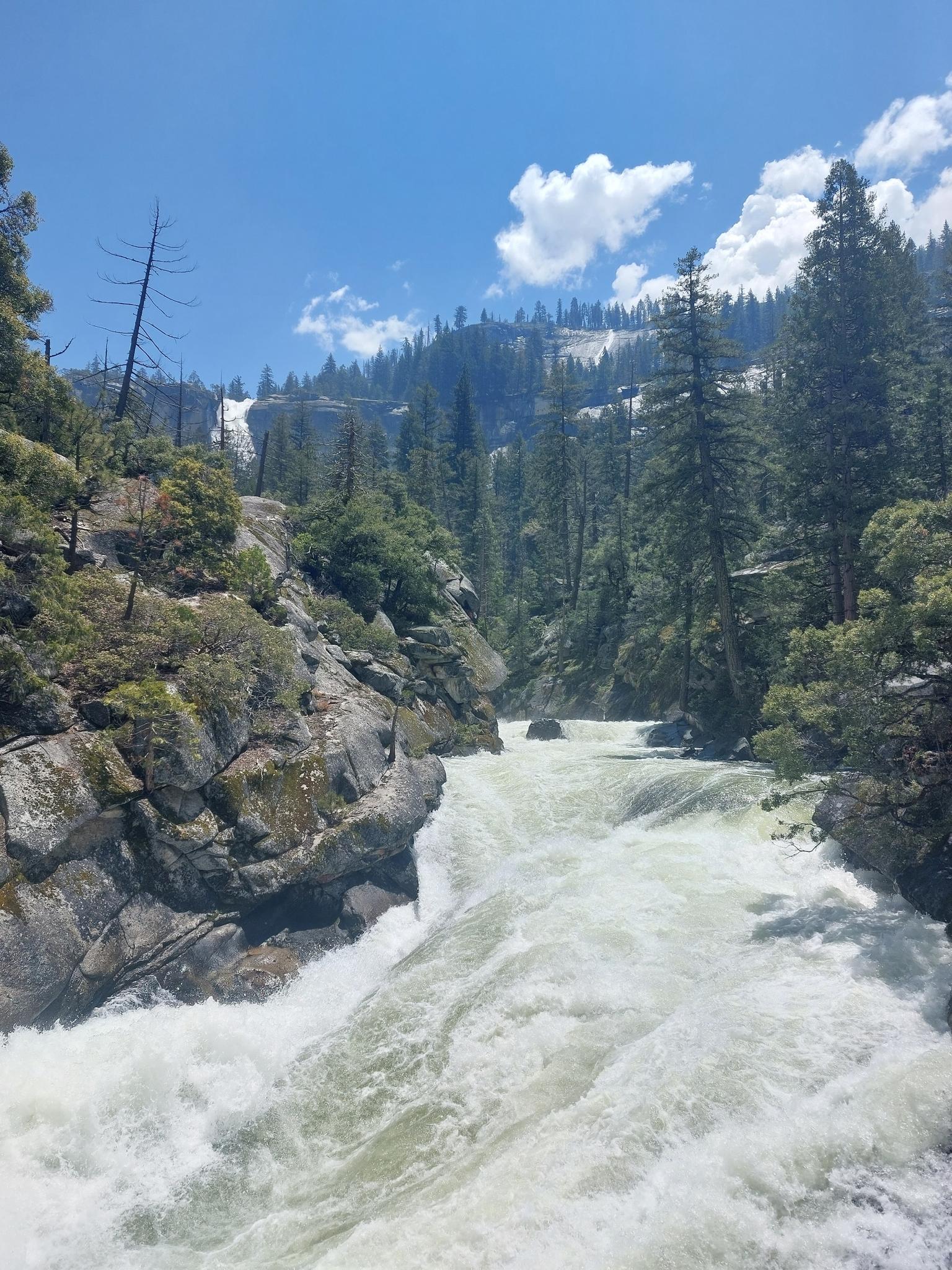 Fast-flowing river rapids in a rocky canyon, surrounded by green pine trees.