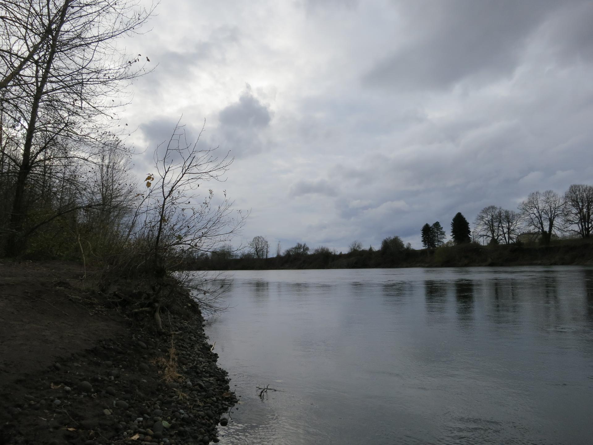 A wide, calm river under a dark, cloudy sky with bare trees.