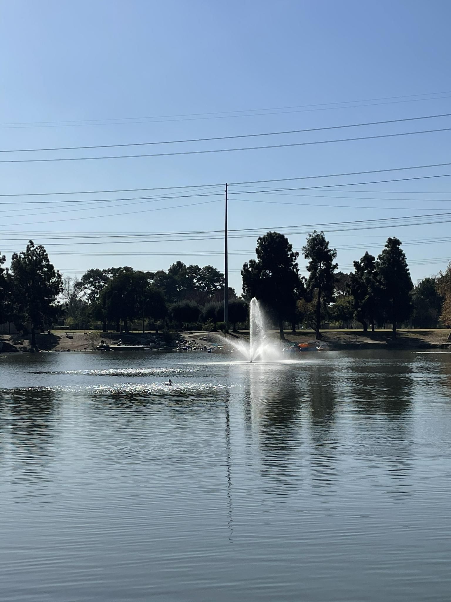 A lake with a fountain spraying water, surrounded by trees on a sunny day. - Whittier Narrows Recreation Area lakes loop