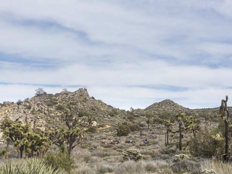 Burnt Hill Trail loop | hike | Komoot