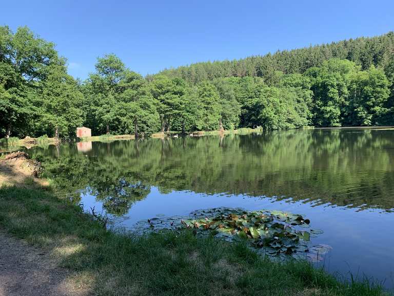 Reinhardsbrunner Teiche MountainbikeTouren und Trails komoot