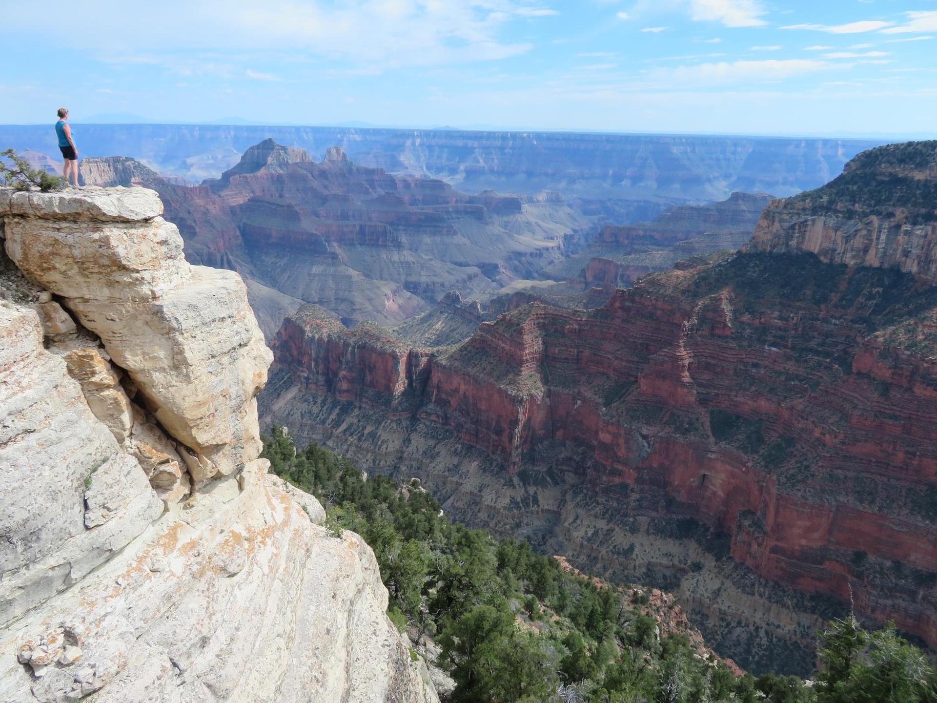 Person on a rocky cliff overlooking a vast, layered canyon under a bright sky.