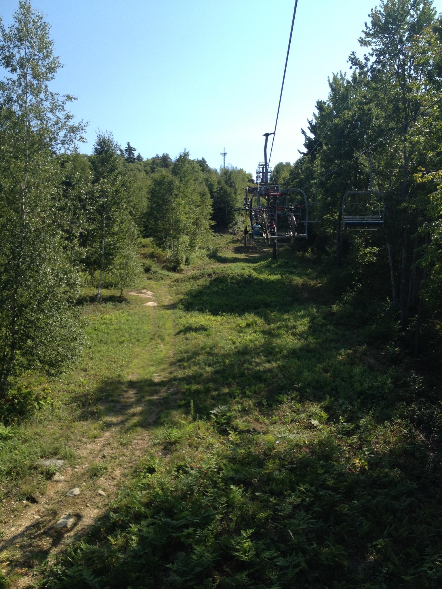 Empty ski lift chairs ascend over a sunny, grassy mountain path surrounded by trees.