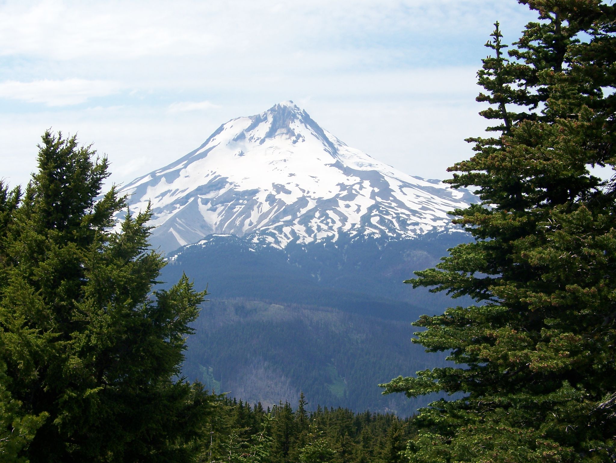 Majestic snow-capped mountain peak framed by dark green evergreen trees. - High Prairie Trail Loop