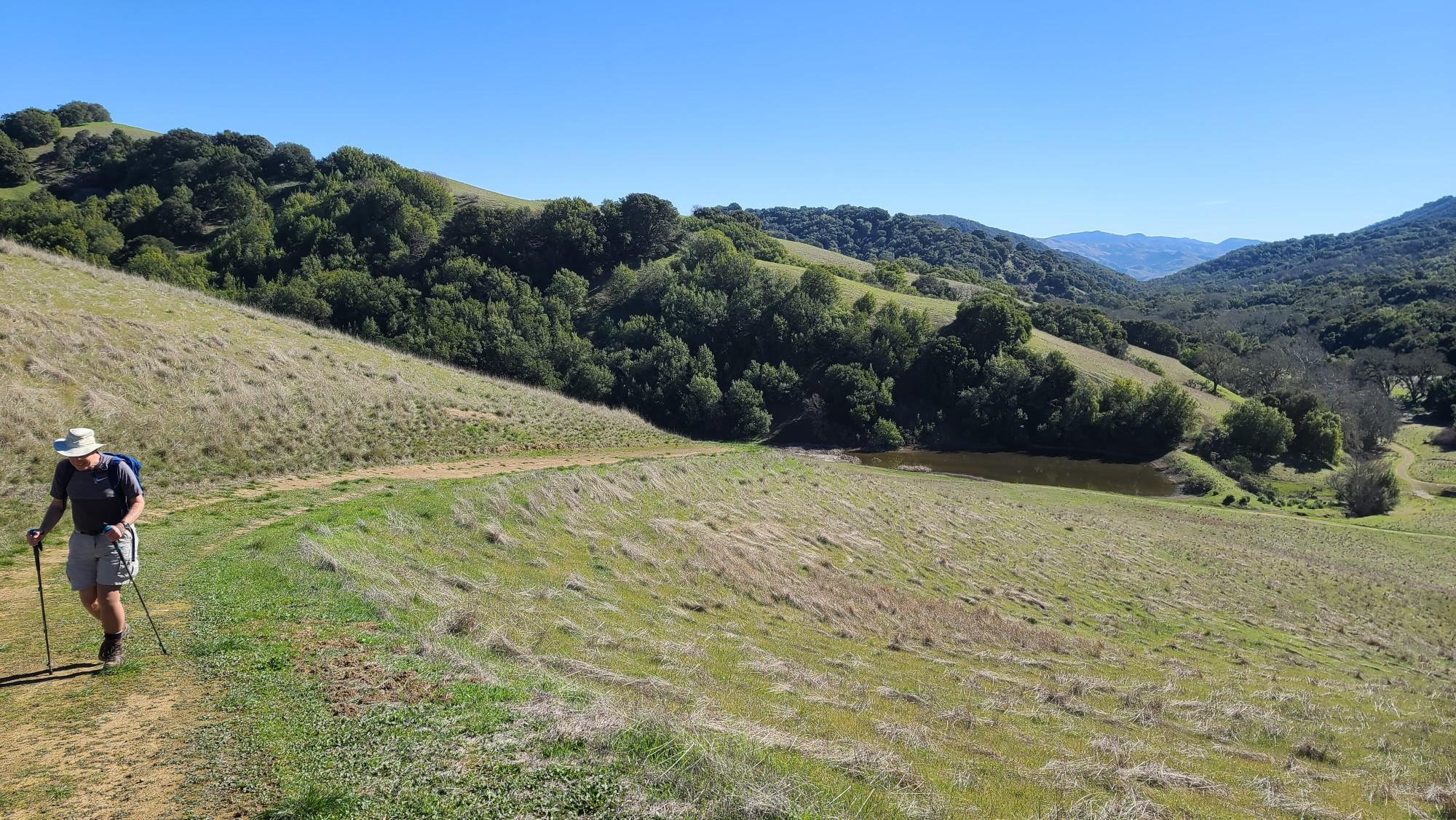 Hiker with poles on a sunny dirt path through grassy, tree-covered hills.