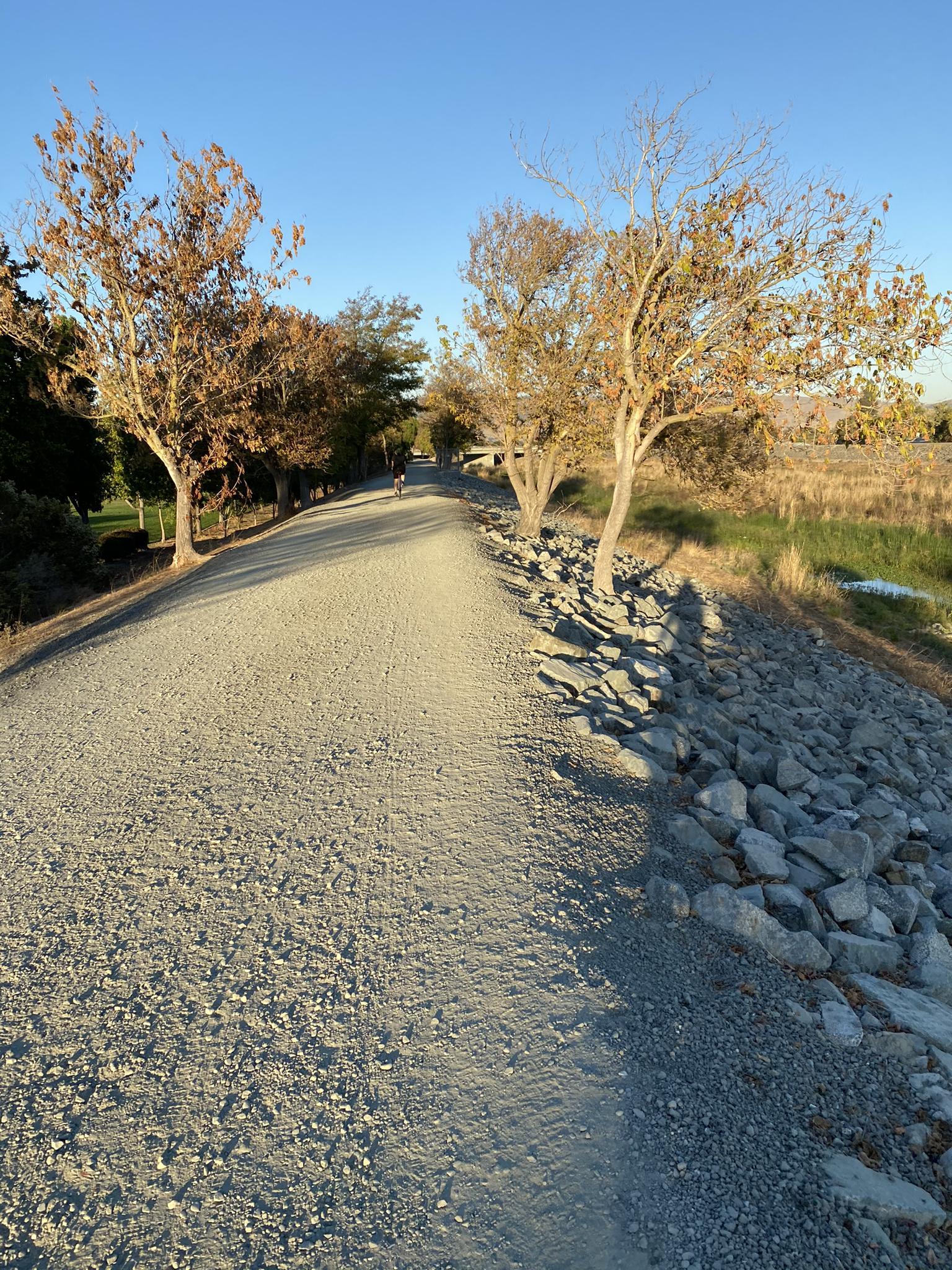 Gravel path bathed in golden light, lined by trees and rocks.
