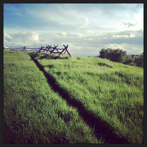 Narrow path through tall green grass leading to a rustic fence.