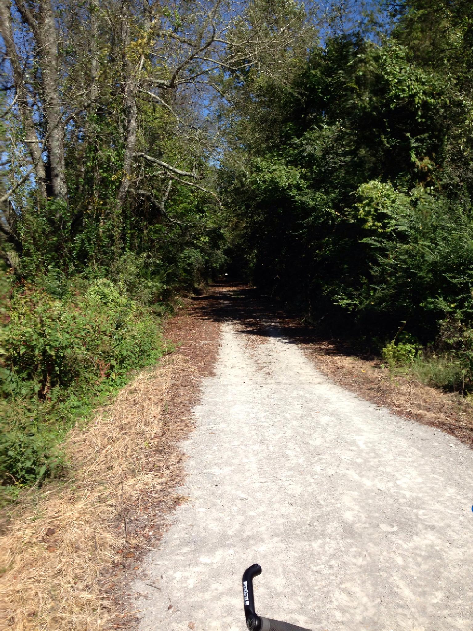 A gravel path through dense green woods, with a bicycle handlebar.