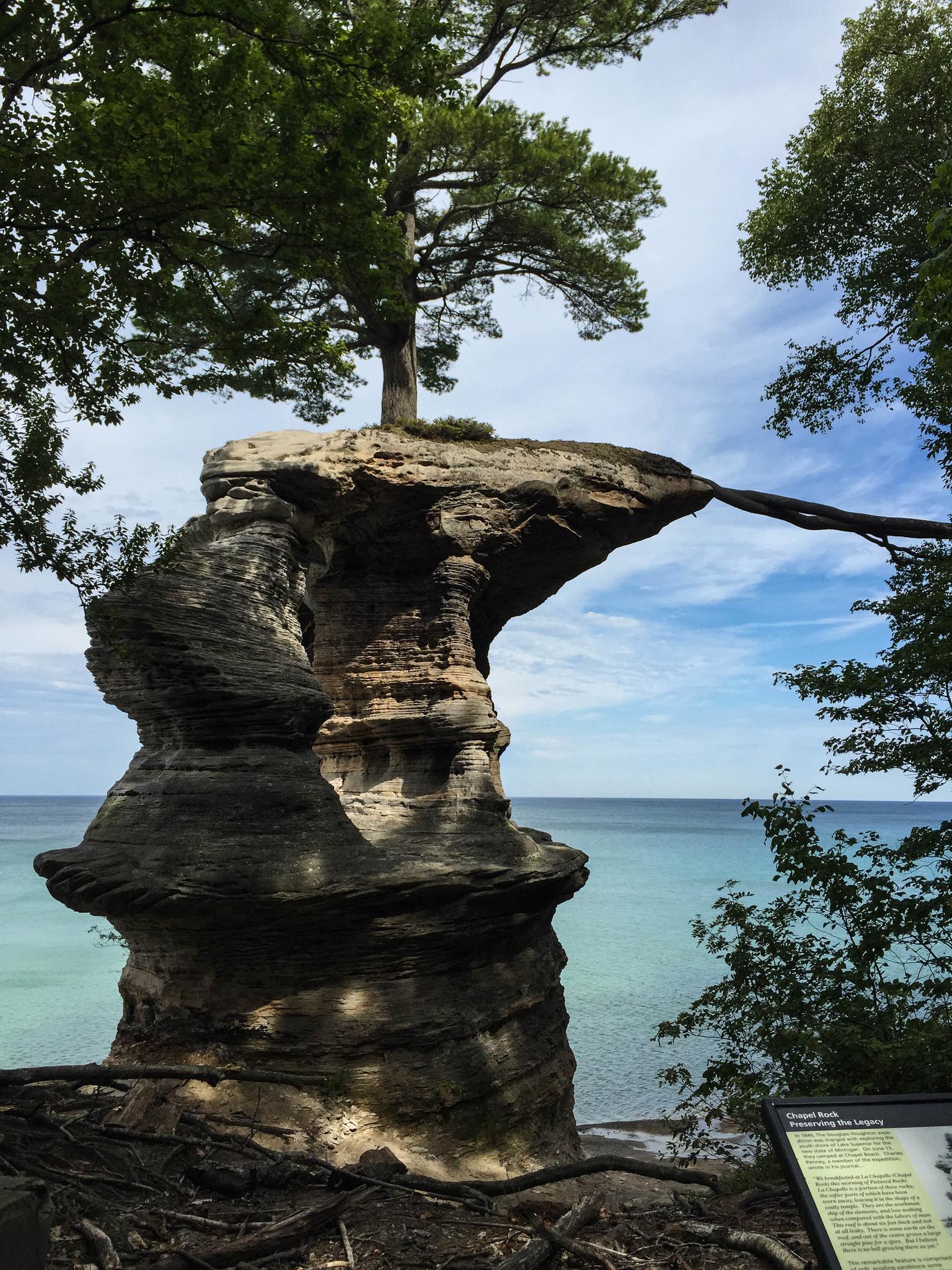 Tree growing on a tall, eroded rock pillar beside blue water.