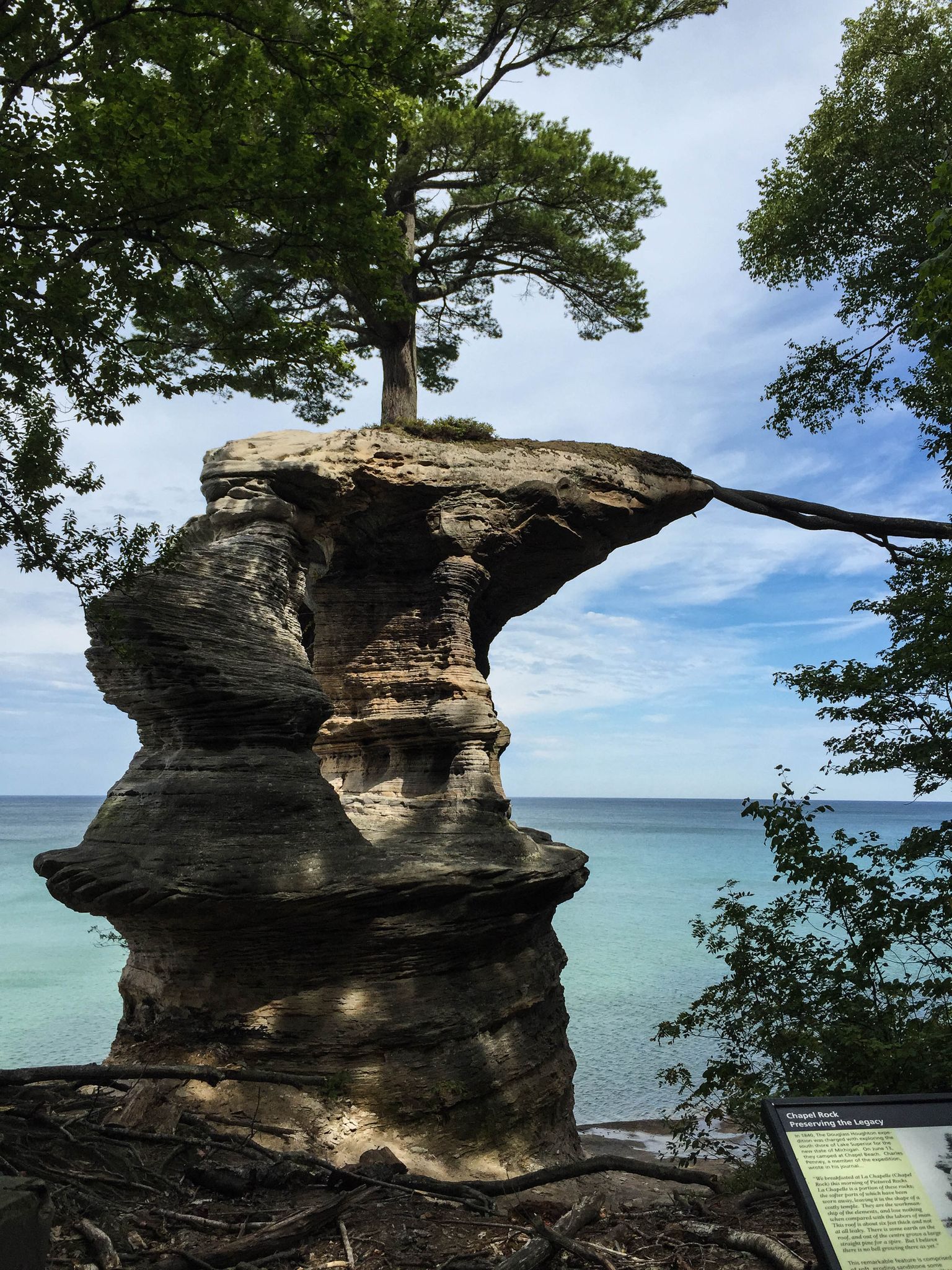 Tree growing on a tall, eroded rock pillar beside blue water. - Chapel Rock Trail