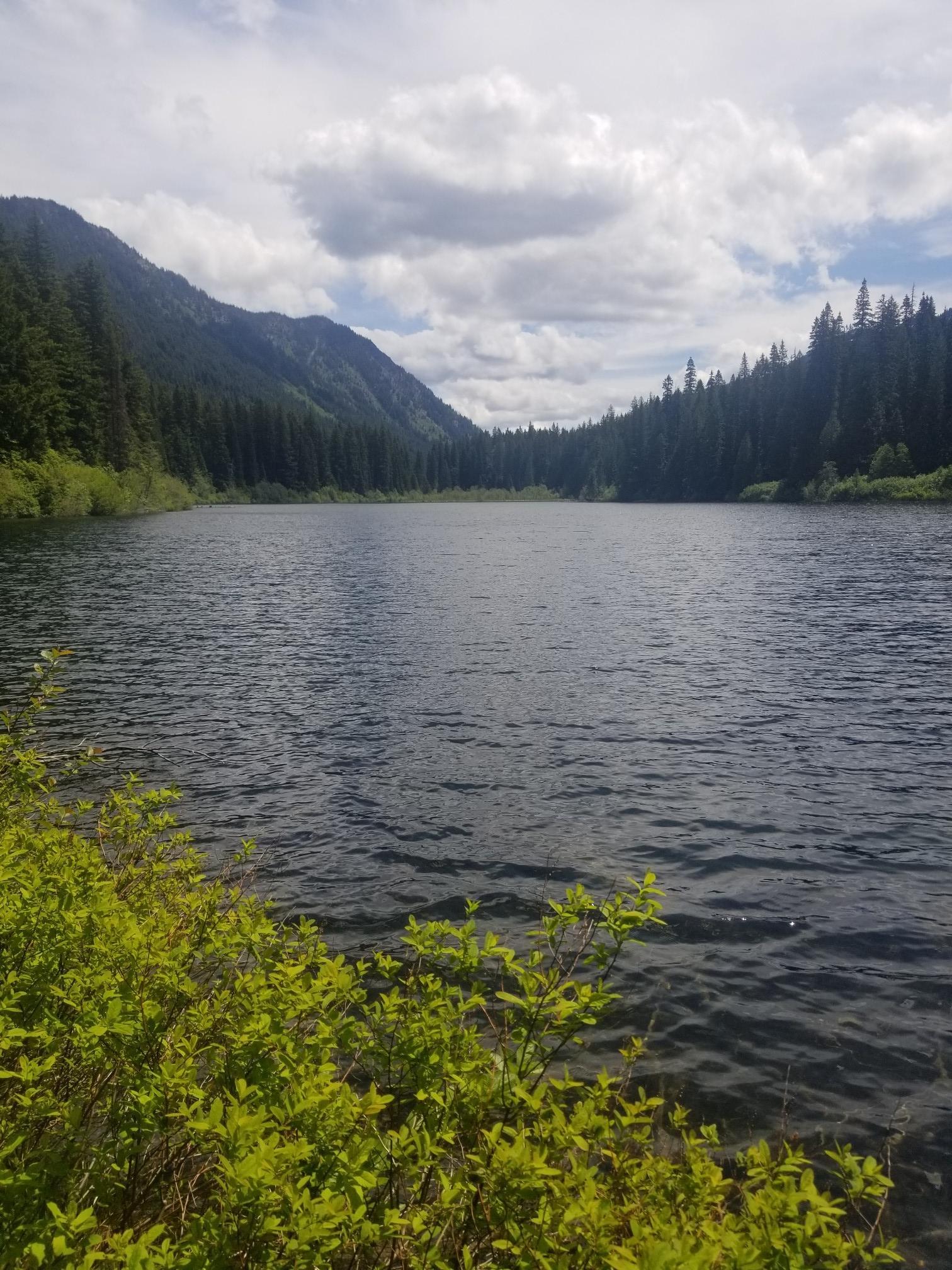 Wide lake view with dense forests and mountains under a cloudy sky.