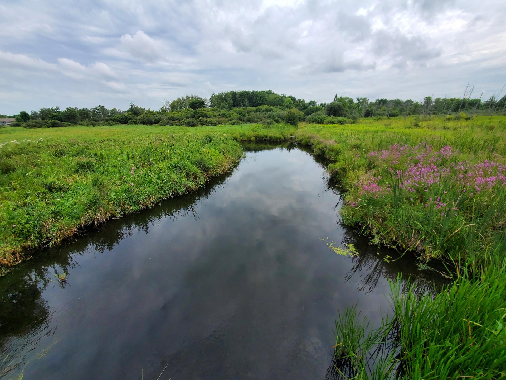 A winding dark river flows through green fields under an overcast sky.