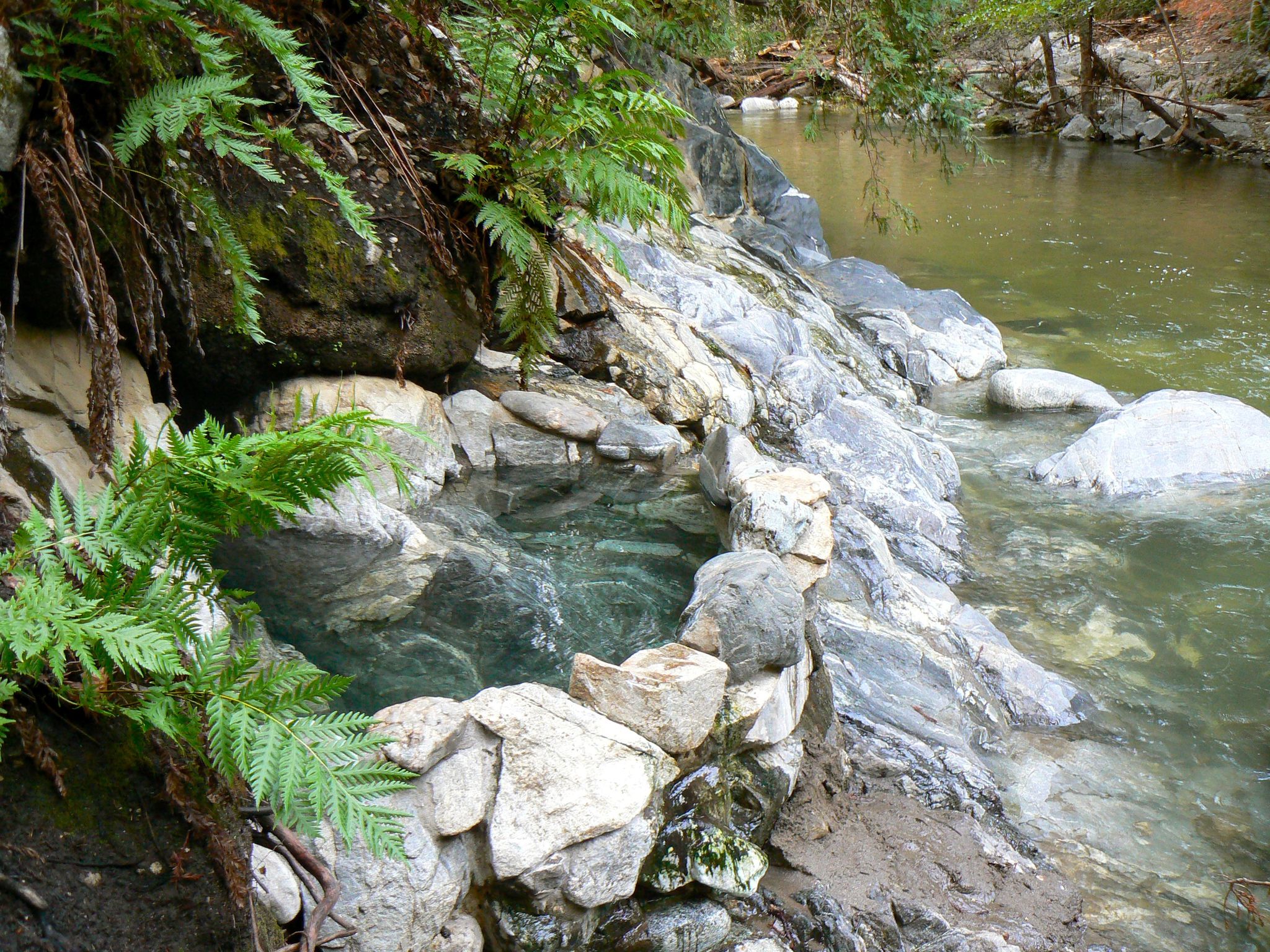 A small, rock-lined natural pool next to a flowing river, surrounded by ferns. - Sykes Hot Springs via Pine Ridge Trail