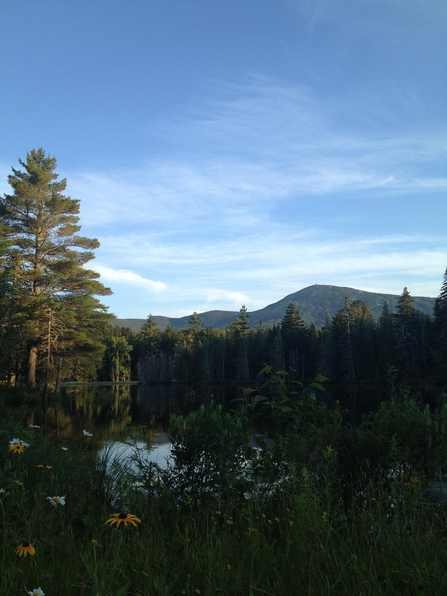 Serene lake reflecting blue sky, surrounded by green trees and distant mountains.