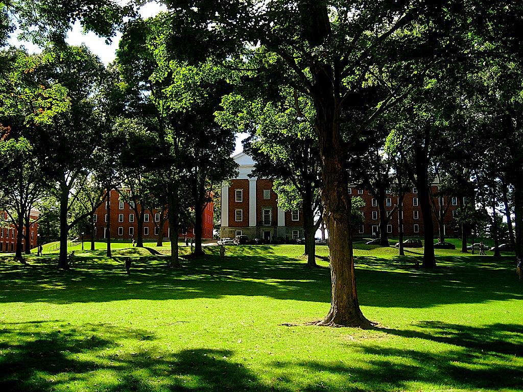 Sunny green lawn with large trees and brick buildings in the background.