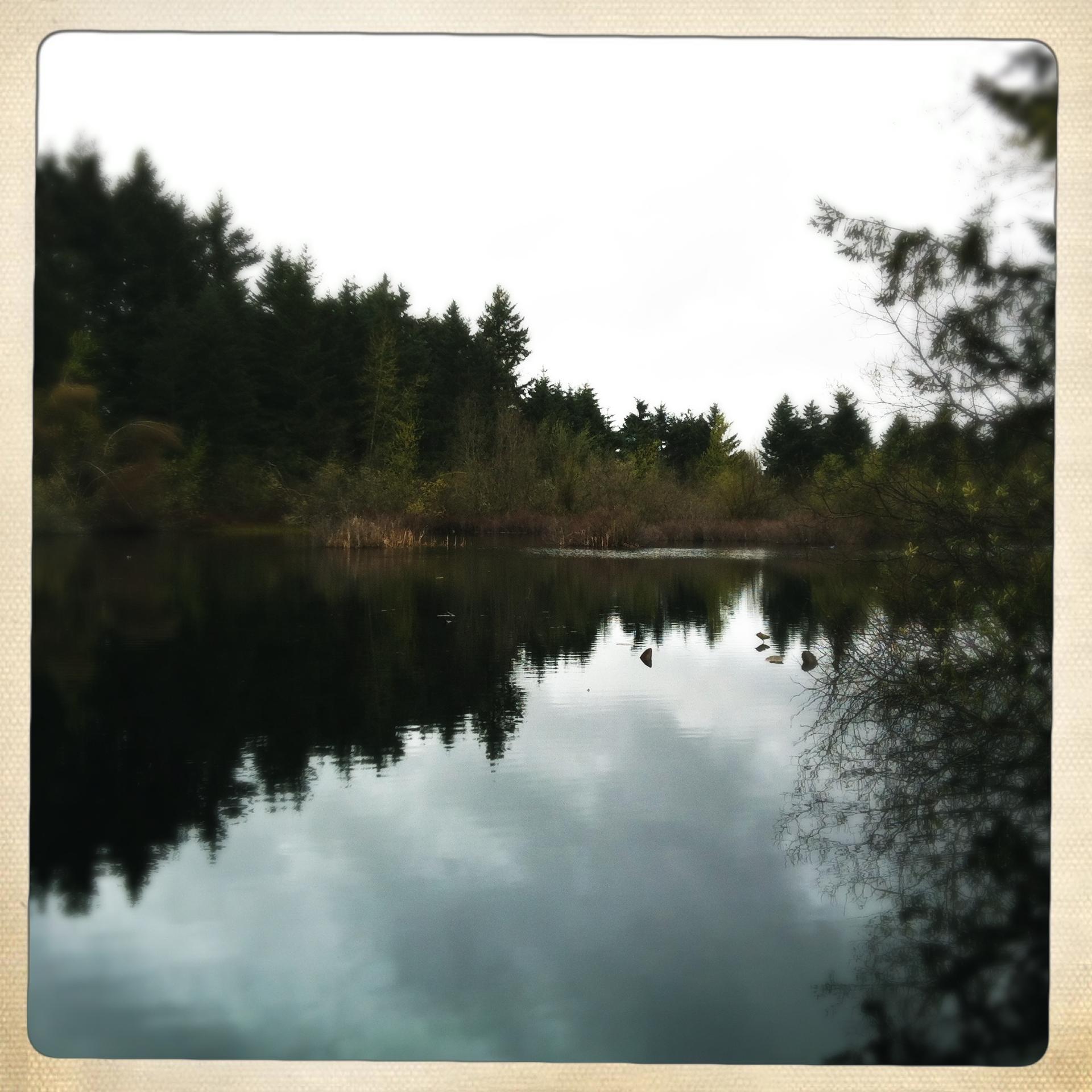 Dark lake reflecting evergreen trees and an overcast sky.