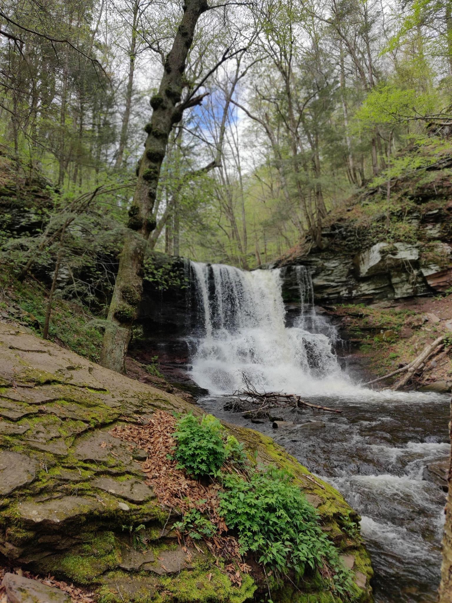 Wide waterfall flowing into a stream, surrounded by green forest and mossy rocks.