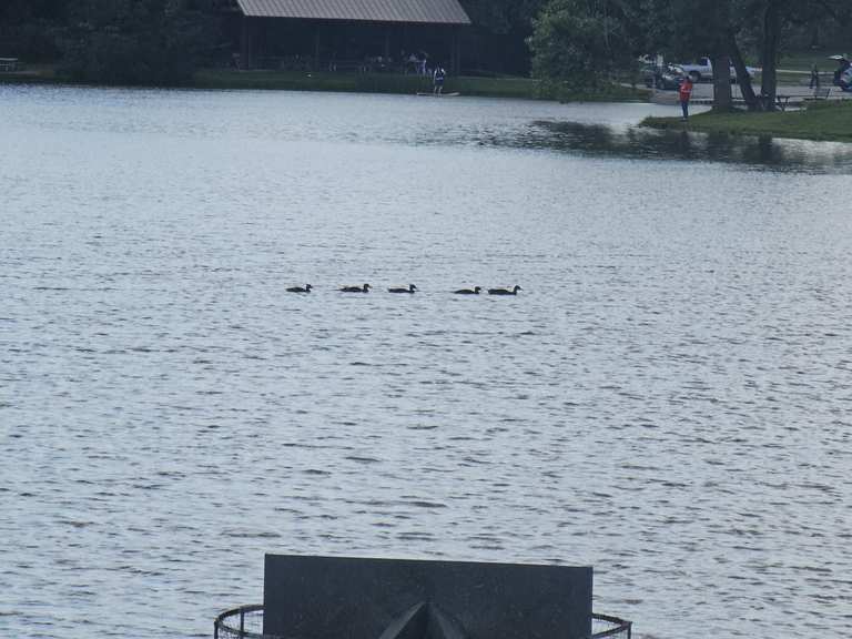 Hudson Springs Lake Wanderungen und Rundwege komoot