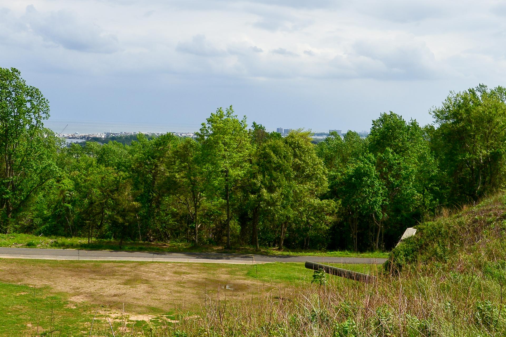 Overcast view of green trees, a road, and a distant city skyline.