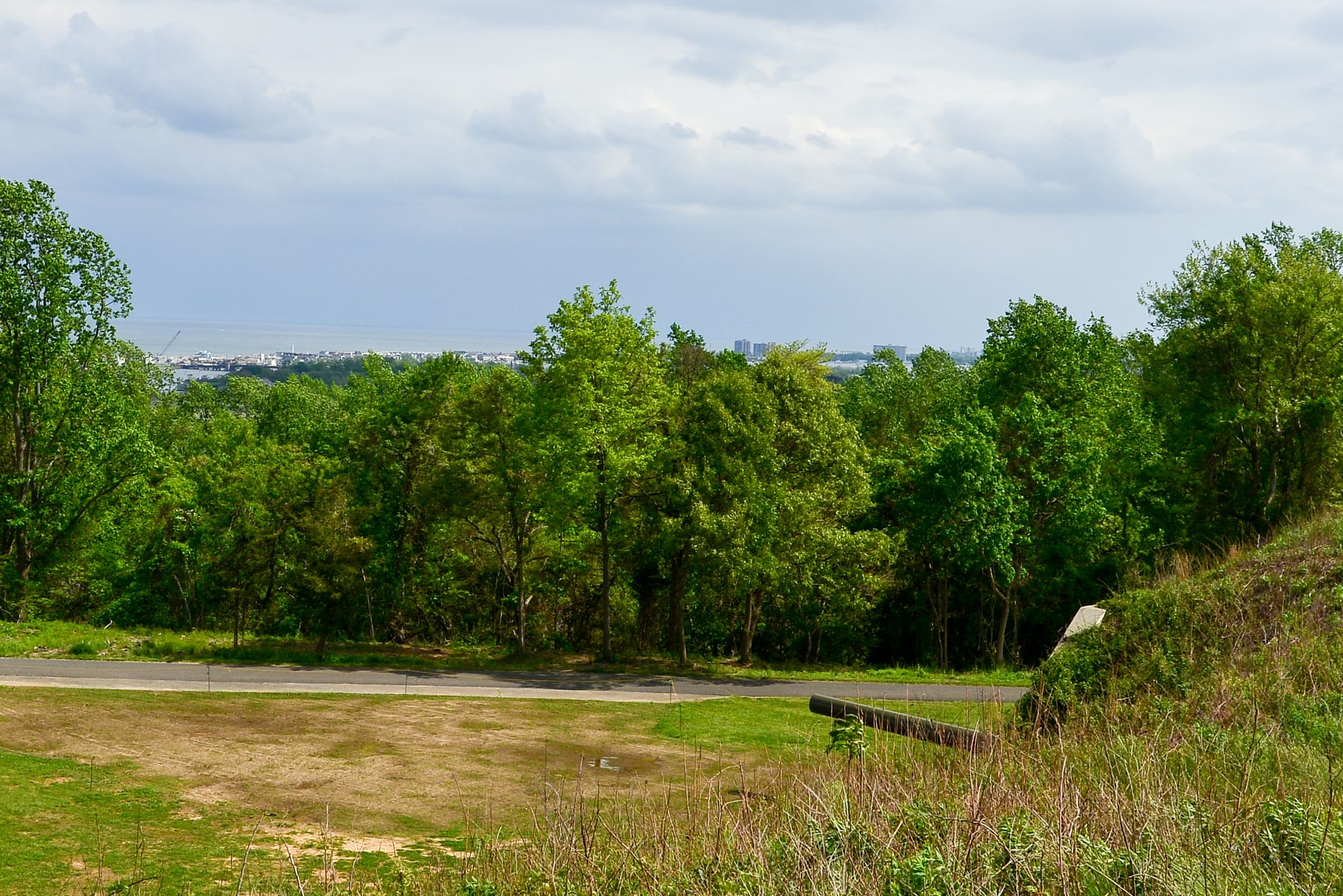 Overcast view of green trees, a road, and a distant city skyline. - Laurel Ridge and Grand Tour Loop