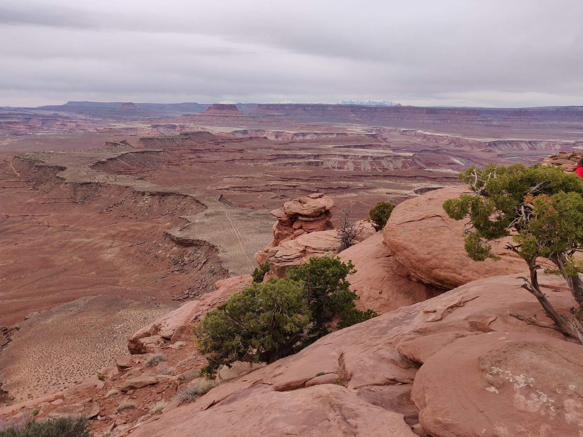 Vast desert canyon landscape with mesas under an overcast sky.
