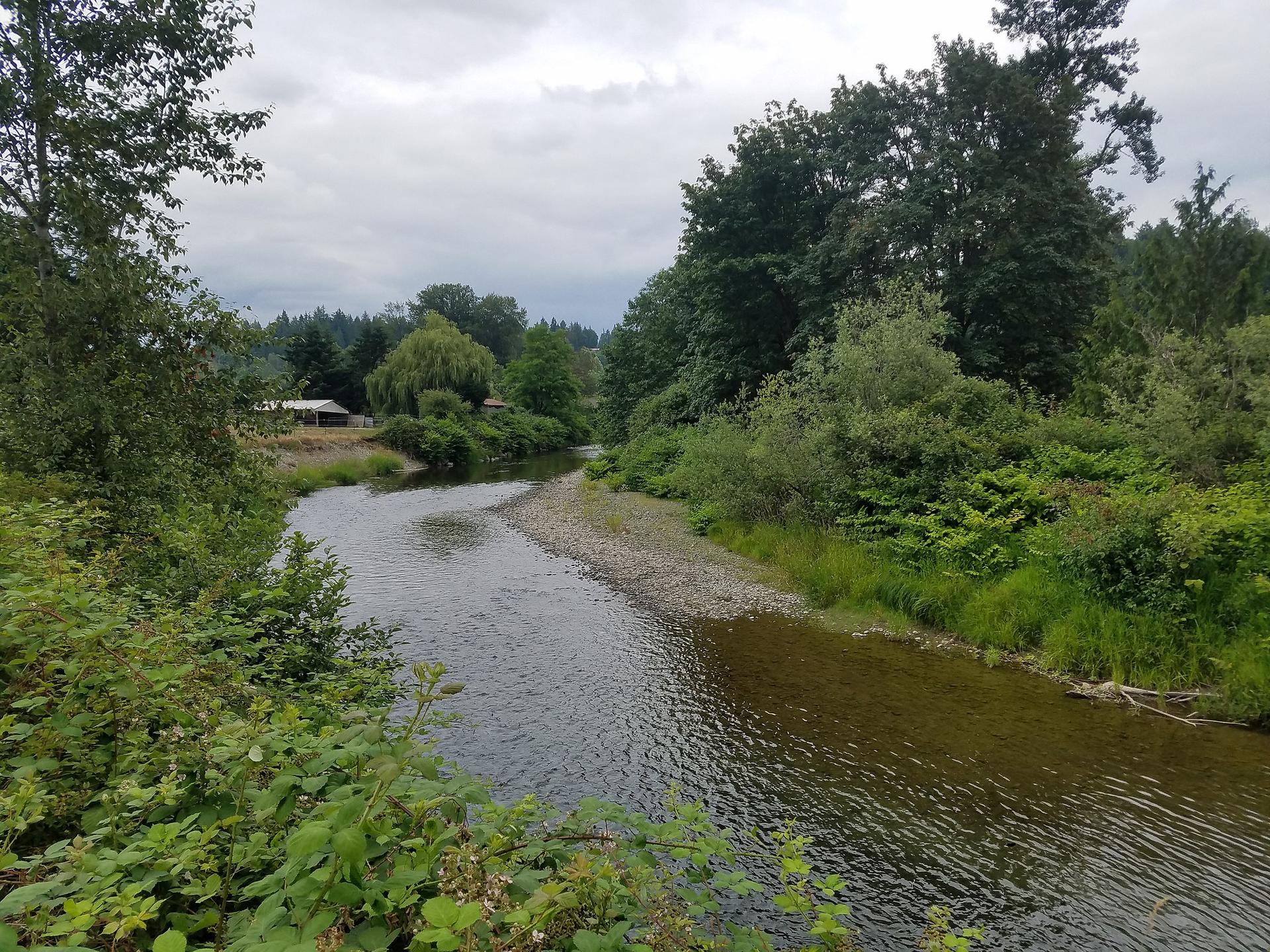 A winding river flows through lush green banks under an overcast sky.