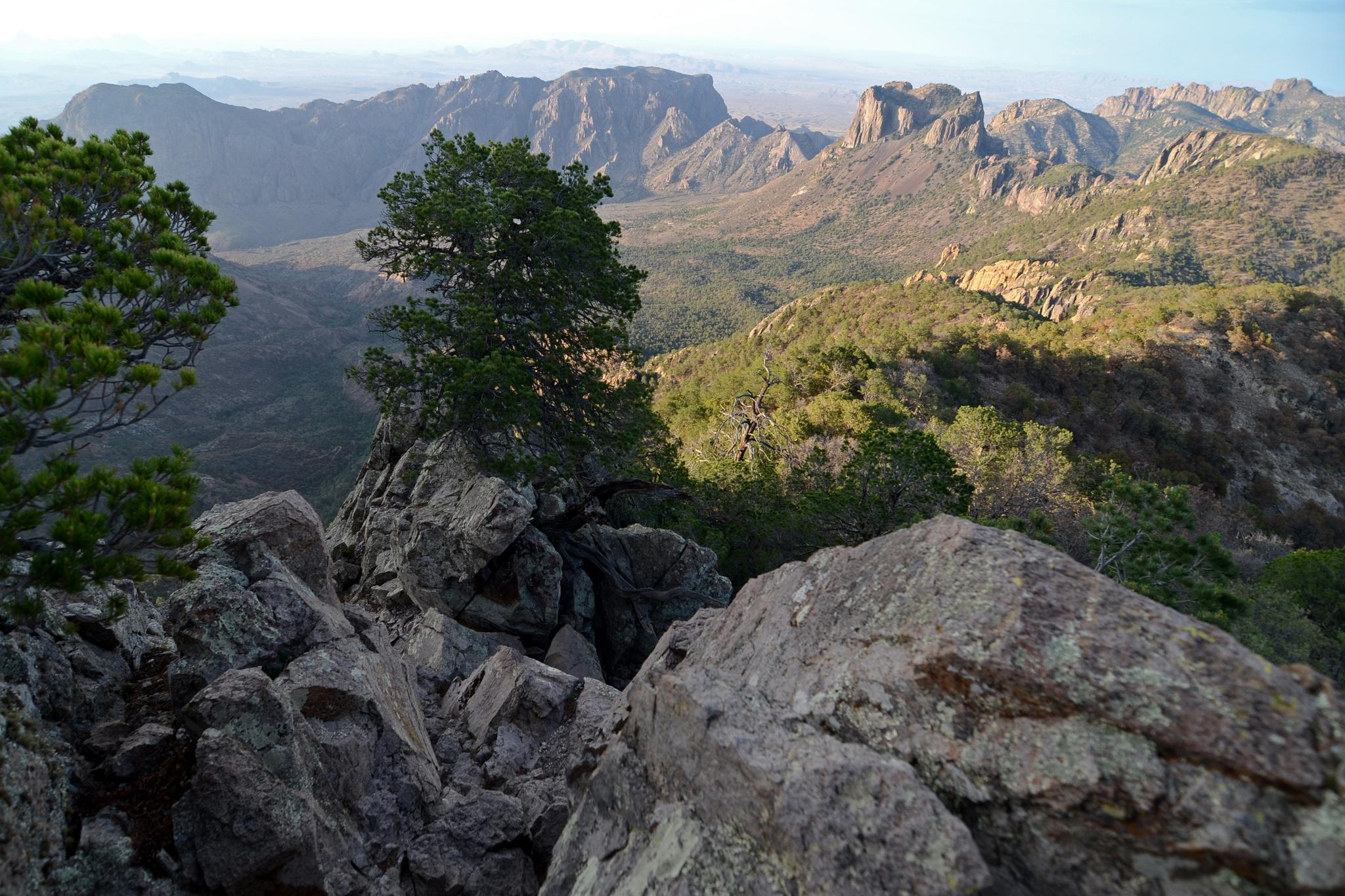 Rocky foreground with green trees overlooking a vast, sunlit mountain range.