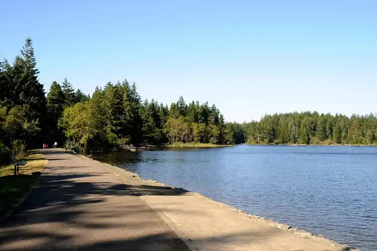 Sunny lake next to a paved path with people walking, surrounded by dense forest.