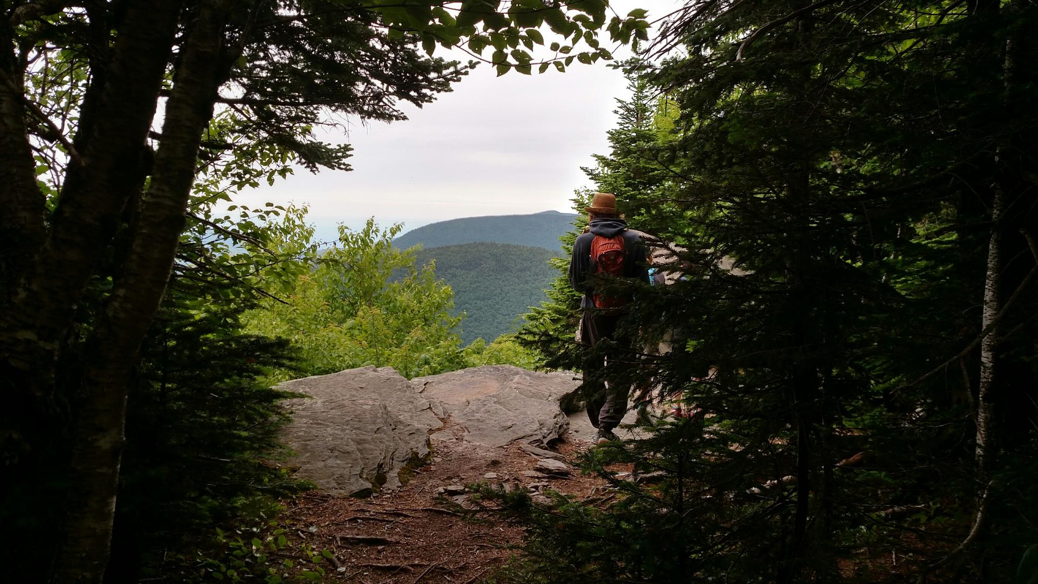 Hiker with a backpack stands on a rocky overlook, viewing forested mountains.