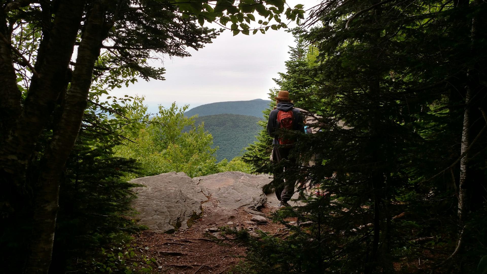 Hiker with a backpack stands on a rocky overlook, viewing forested mountains.