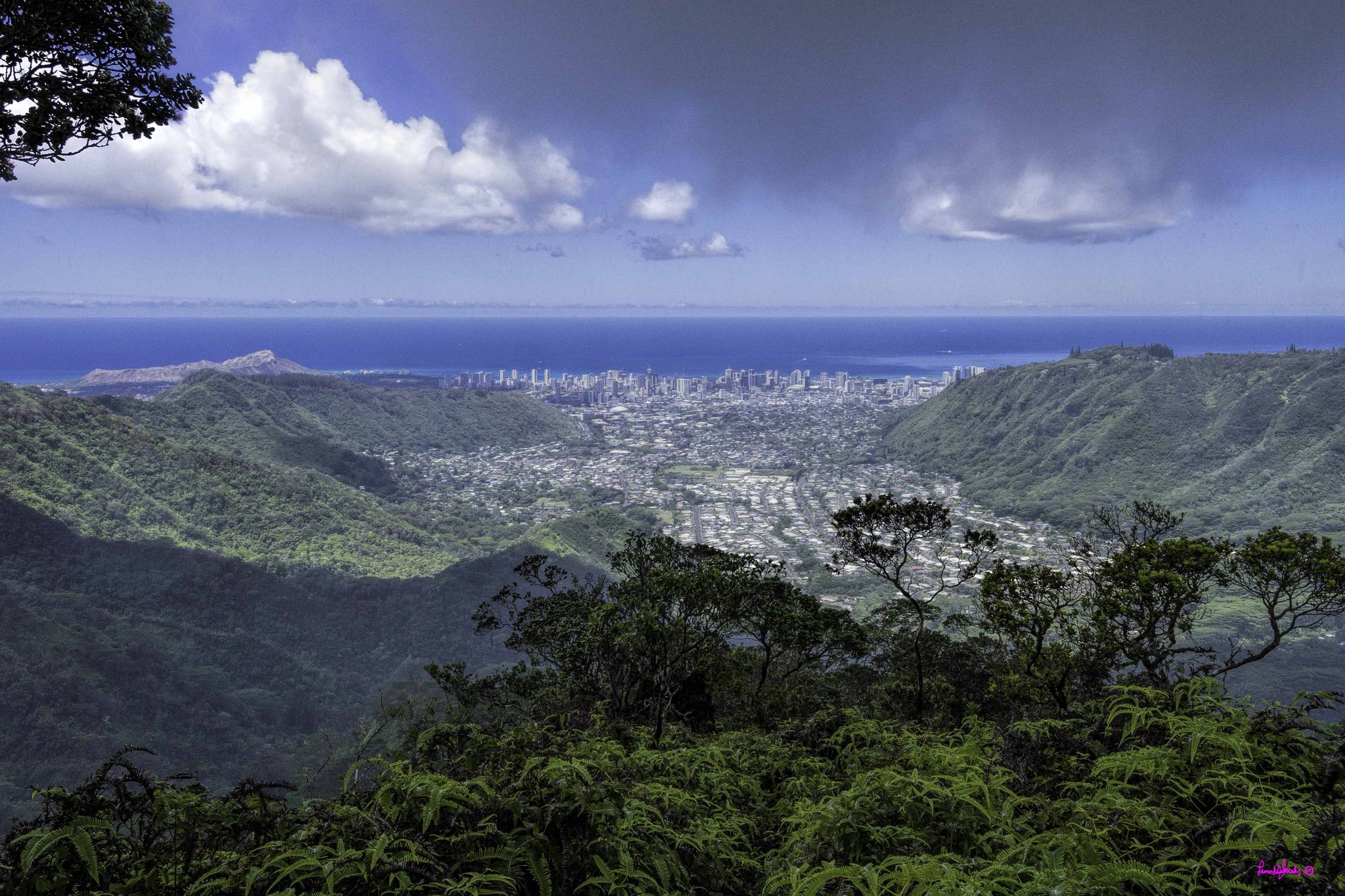 Panoramic view of a city and ocean from a lush green mountain. - Manoa Middle Ridge and Waiakeakua Falls Loop